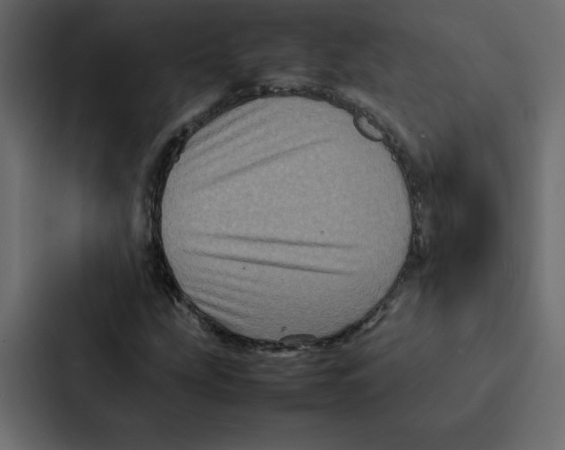 X0000087061207200705161005