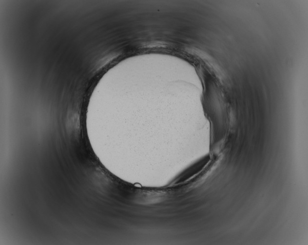 X0000087061209200705161005