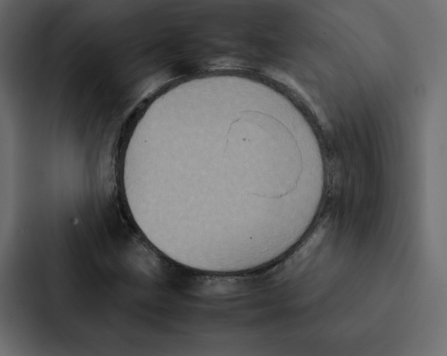 X0000087061211200705161005