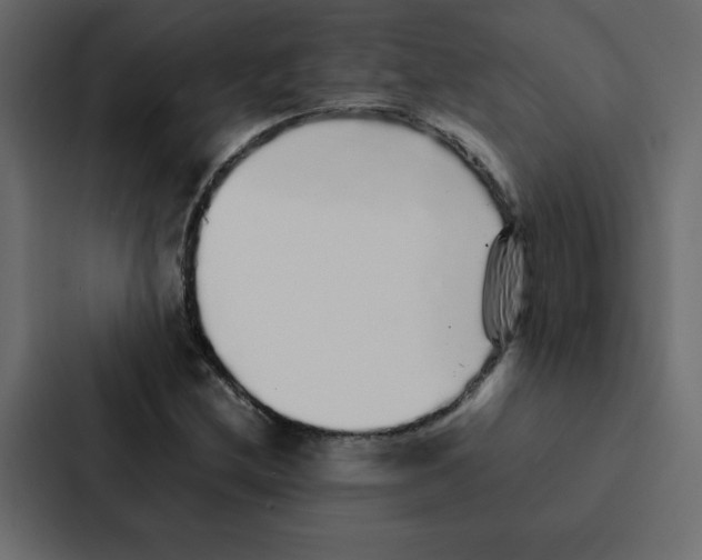 X0000087061212200705161005