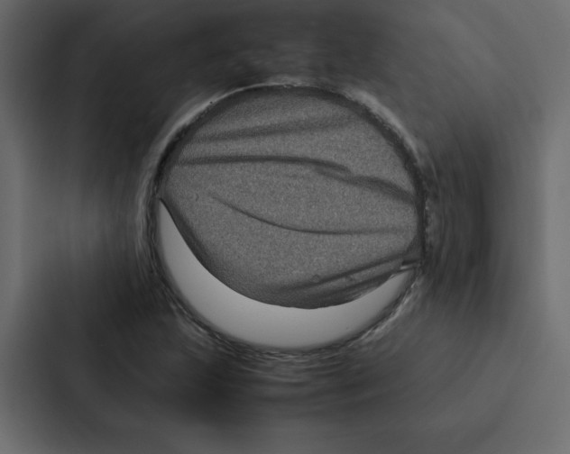 X0000087061215200705161005