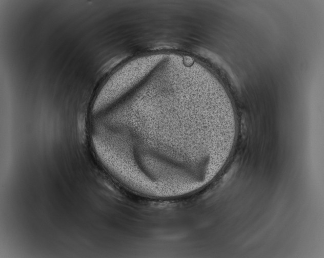 X0000087061217200705161005