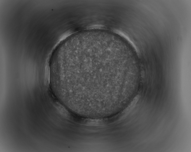 X0000087061219200705161005