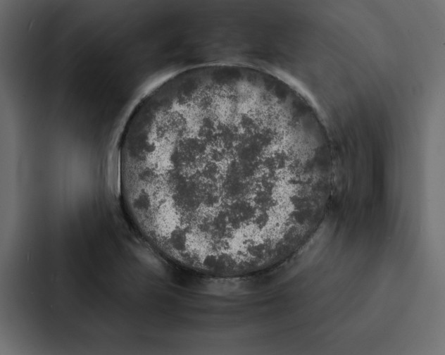 X0000087061223200705161005