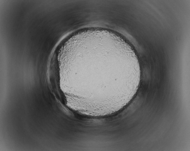 X0000087061224200705161005