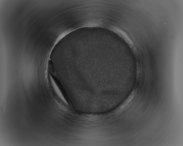 X0000087061226200705161005