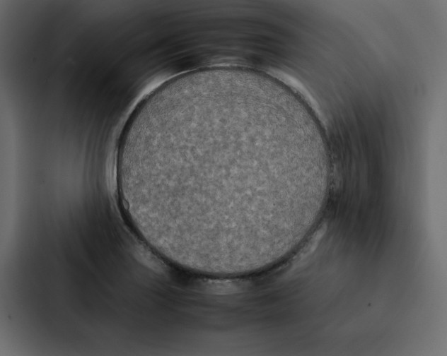 X0000087061227200705161005