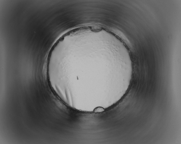 X0000087061228200705161005