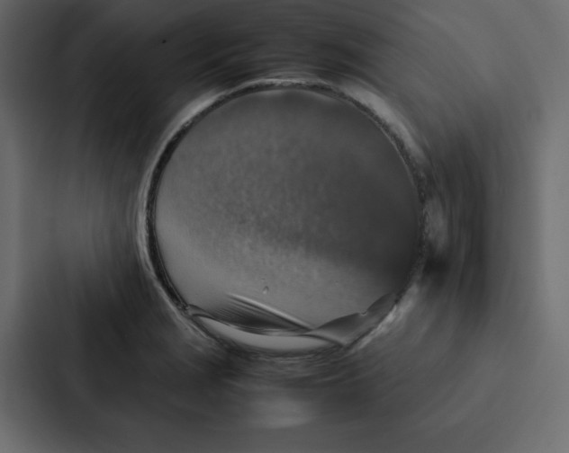 X0000087061229200705161005