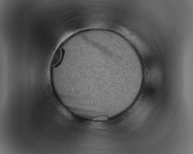 X0000087061230200705161005