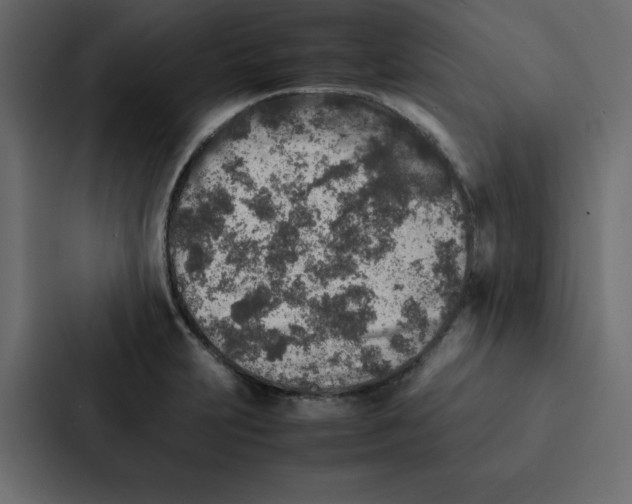 X0000087061231200705161005