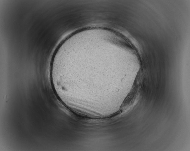 X0000087061232200705161005