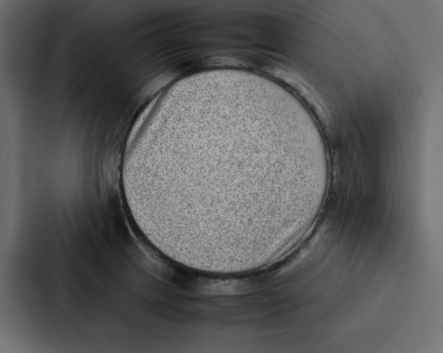 X0000087061233200705161005