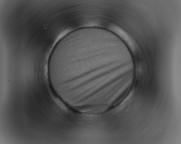 X0000087061234200705161005