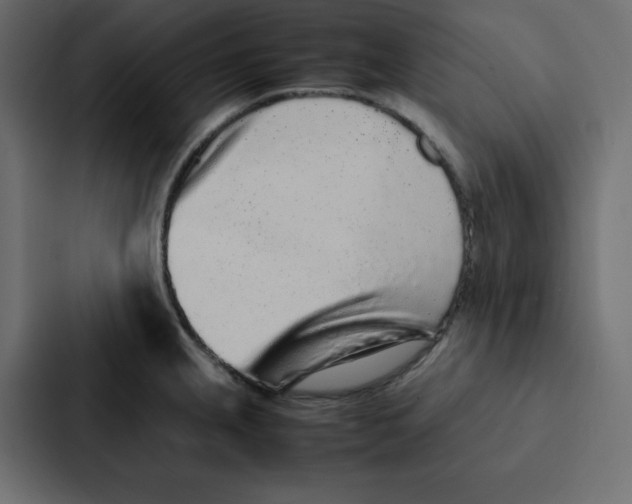 X0000087061237200705161005