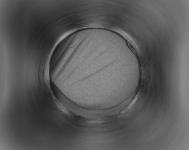 X0000087061238200705161005