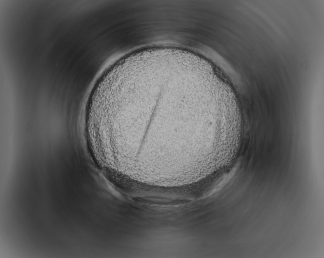 X0000087061240200705161005