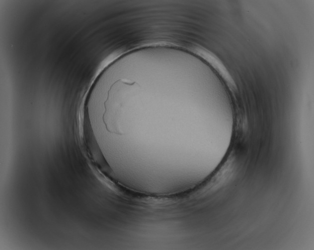 X0000087061242200705161005