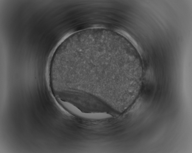 X0000087061243200705161005