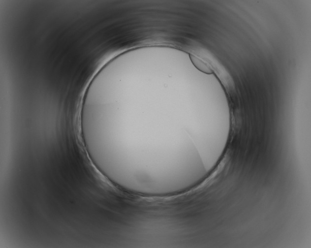 X0000087061244200705161005