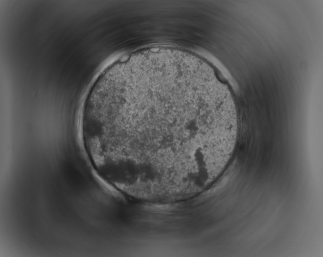 X0000087061245200705161005