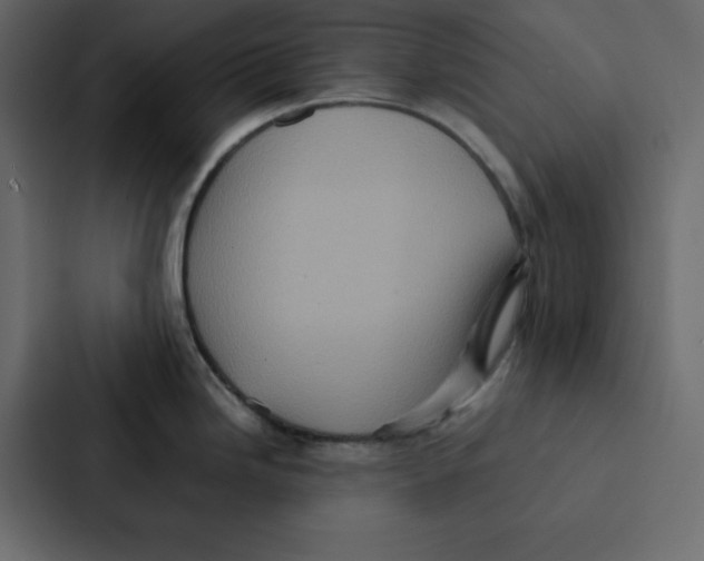 X0000087061246200705161005