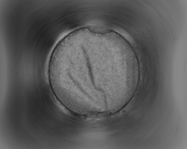 X0000087061248200705161005