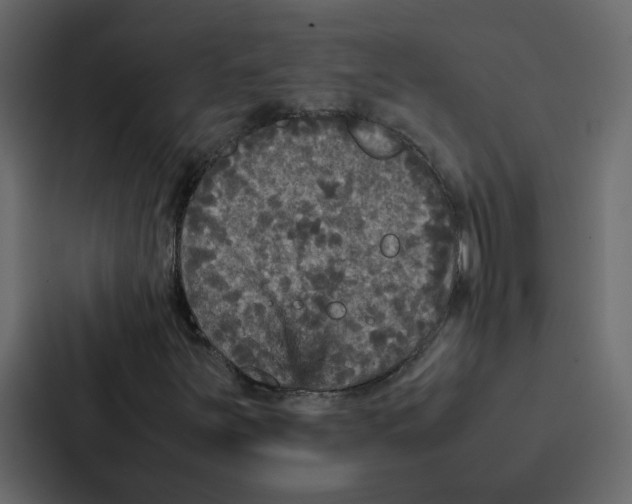 X0000087061251200705161005