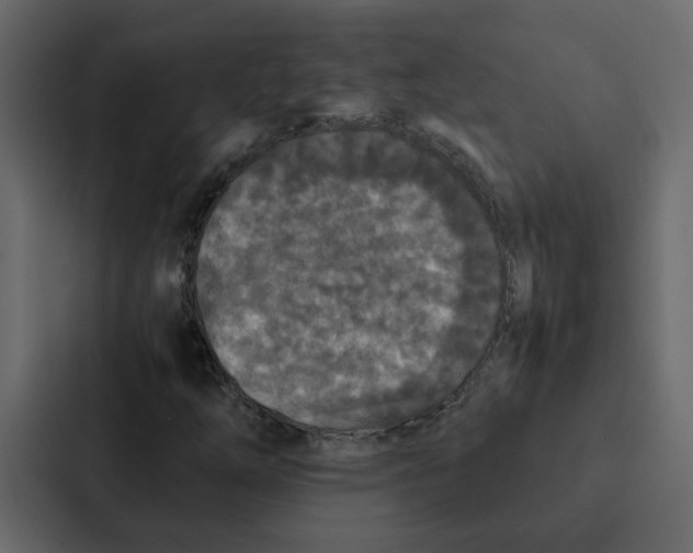 X0000087061254200705161005