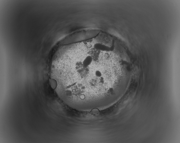 X0000087061255200705161004