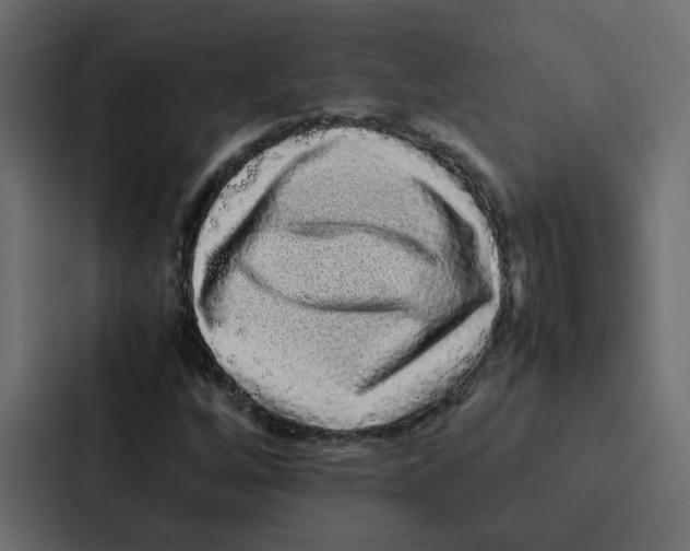 X0000087061256200705161004