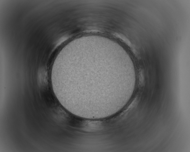 X0000087061258200705161004