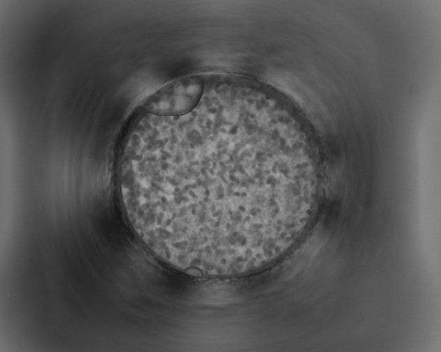 X0000087061259200705161004