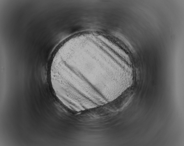 X0000087061260200705161004