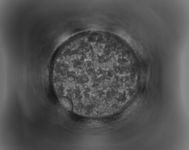 X0000087061263200705161004