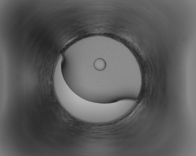 X0000087061265200705161004