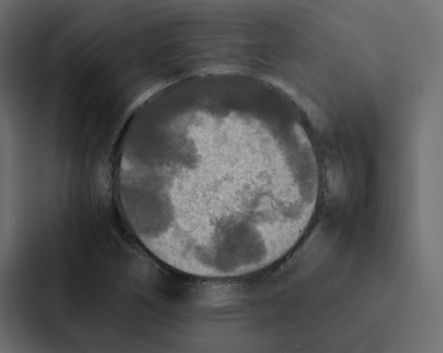 X0000087061266200705161004