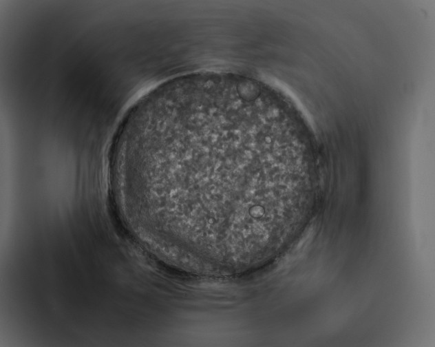 X0000087061267200705161004