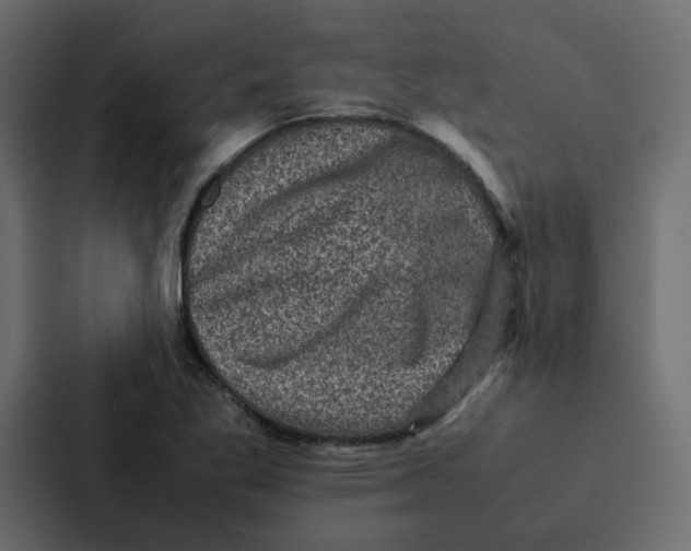 X0000087061269200705161004