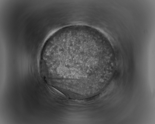 X0000087061271200705161004