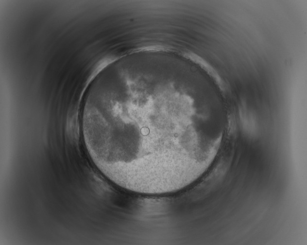 X0000087061274200705161004