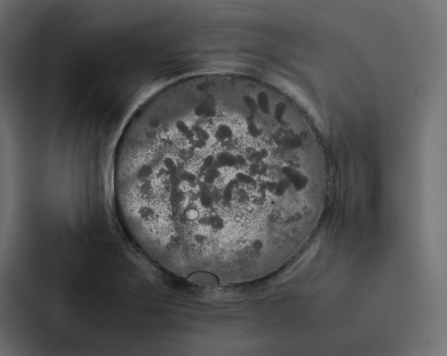 X0000087061275200705161004