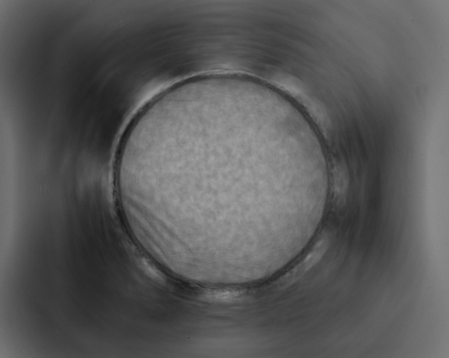 X0000087061278200705161004