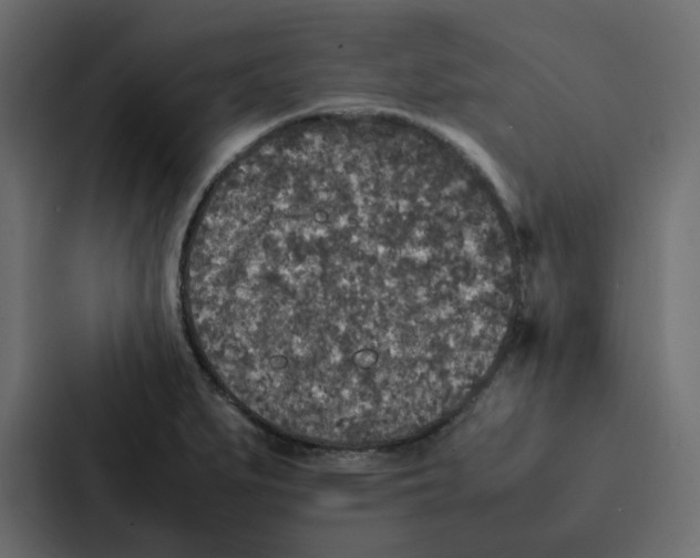 X0000087061279200705161004