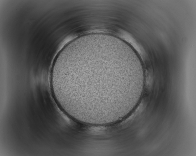 X0000087061282200705161004