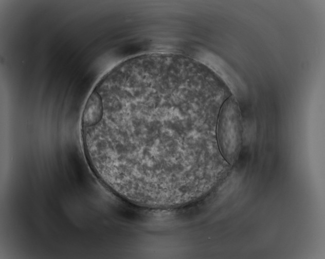 X0000087061283200705161004