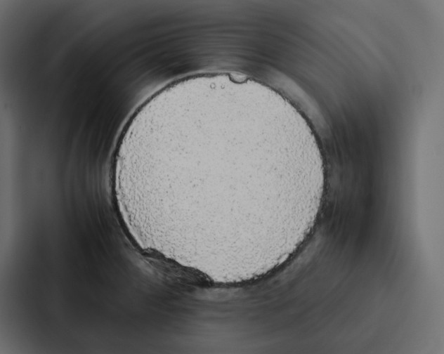 X0000087061284200705161004