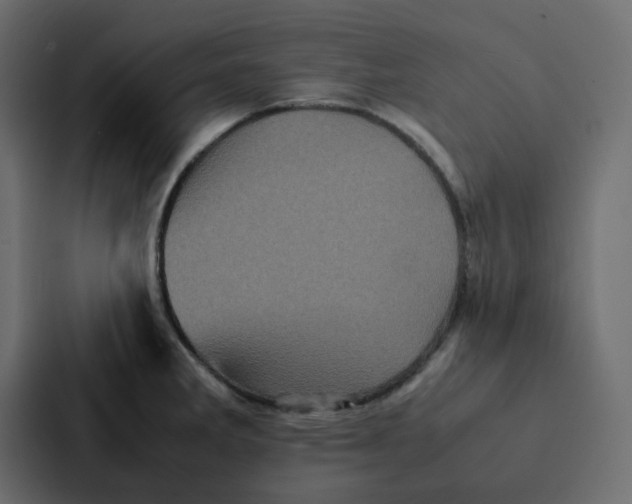 X0000087061285200705161004