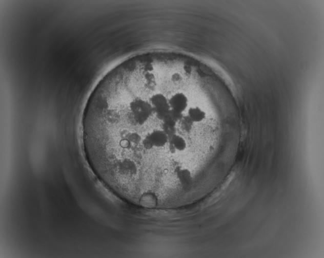 X0000087061287200705161004