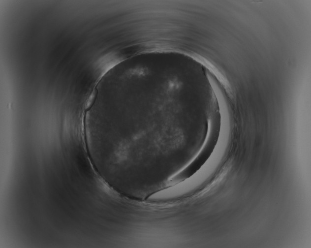 X0000087061289200705161004